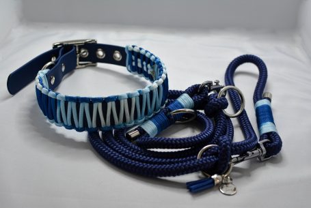 Tau x Paracord x Biothane Set