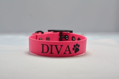 Biothane Halsband mit Aufschrift