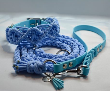 Paracord x Biothane Set mit Halsband ,,Boho"