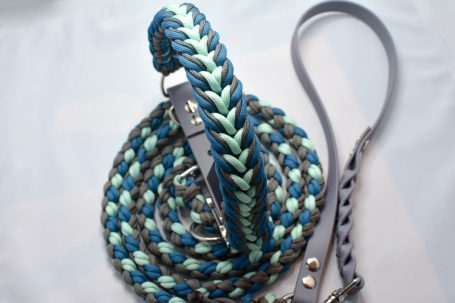 Paracord x Biothane Set mit Halsband ,,Tulip"